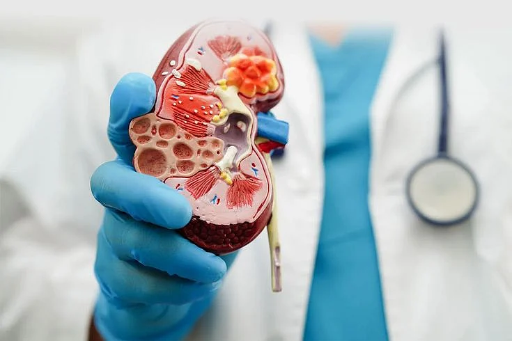 kidney healthy