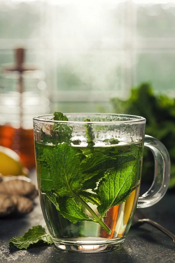 Tulsi leaves water