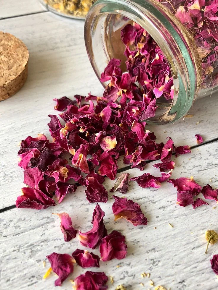 Rose Petal. 2