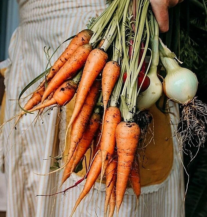 Carrot. 6