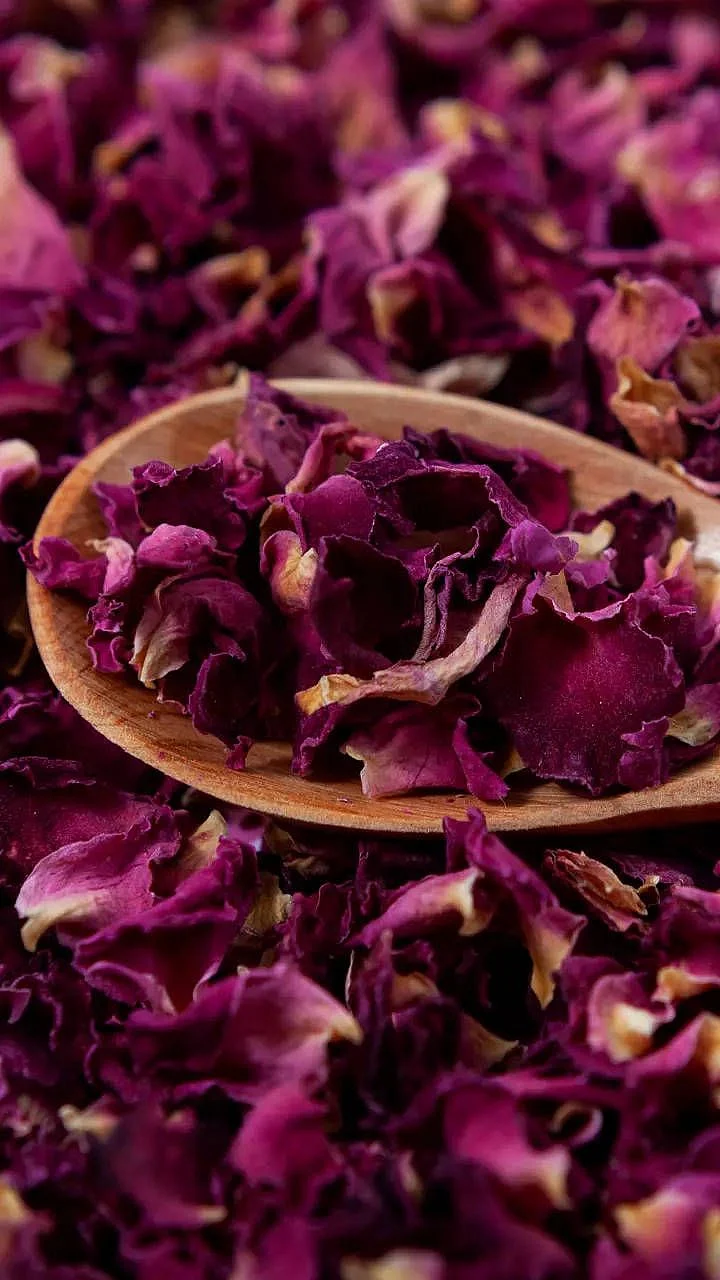 Rose Petal. 1