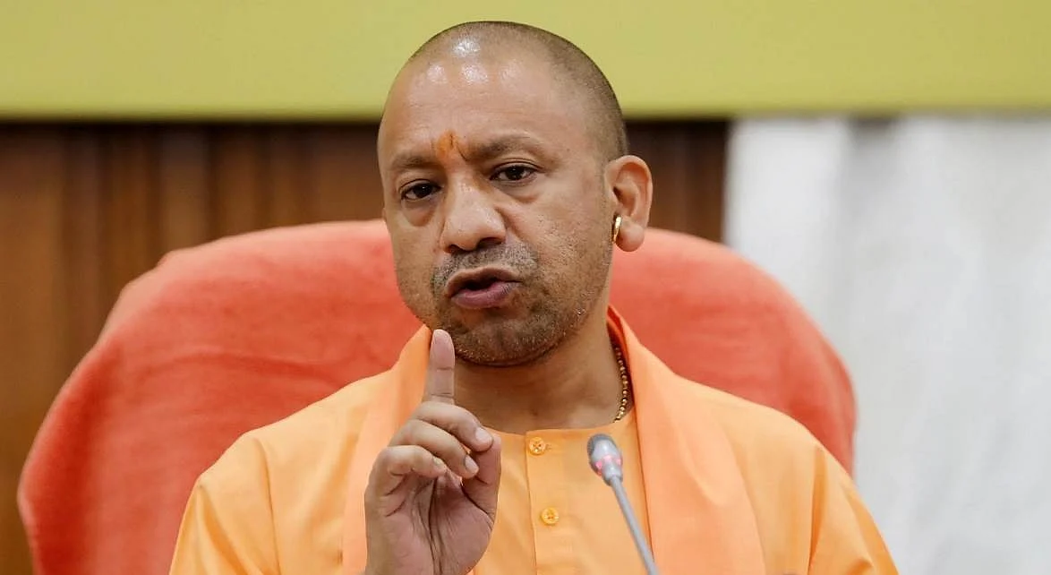 yogi