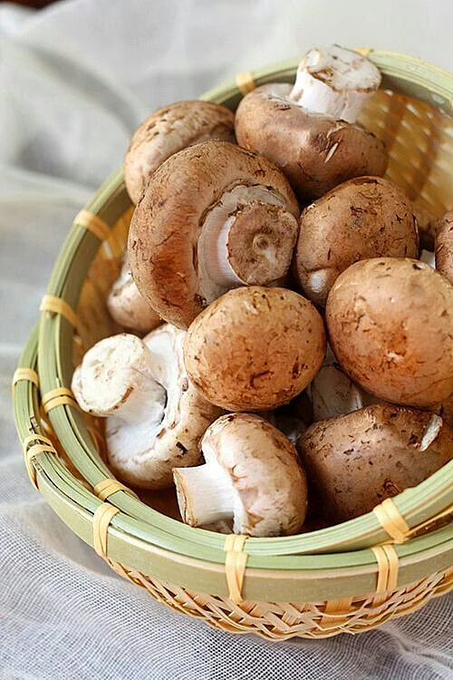 Mushrooms. 7