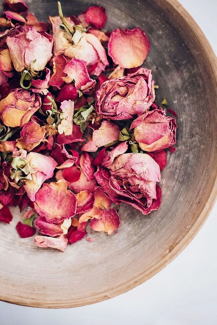 Rose Petal. 4