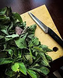 Chaulayi Ka Saag 99