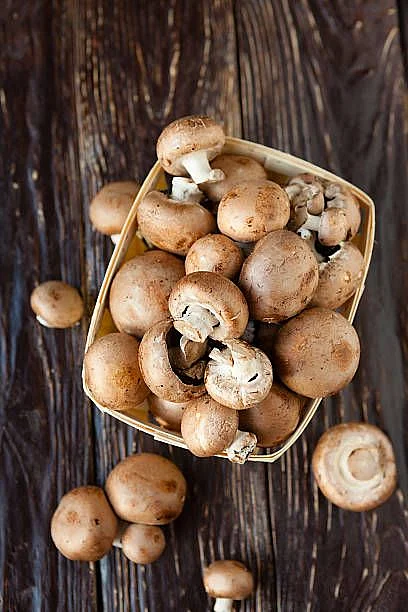 Mushrooms. 2