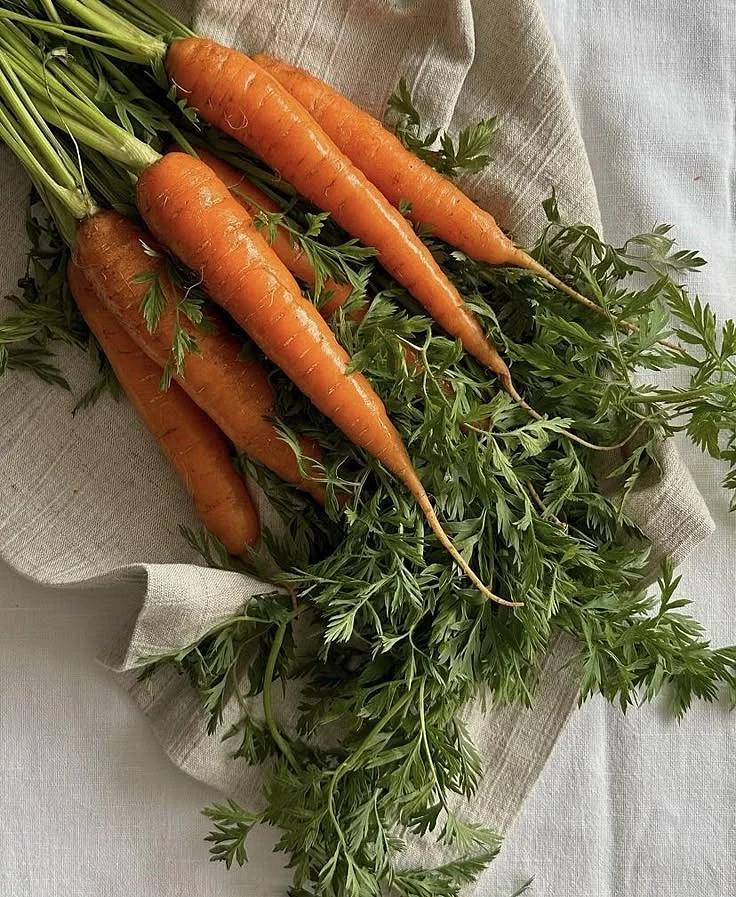 Carrot. 3