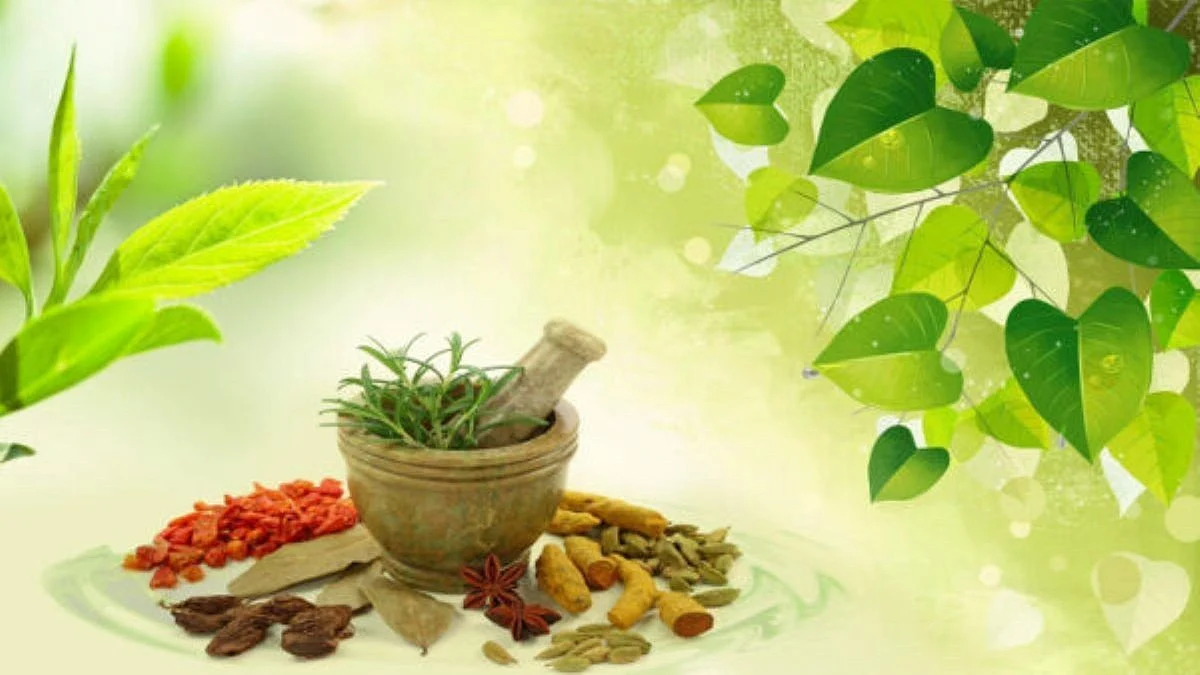 Ayurveda Day will be celebrated every year on 23 September
