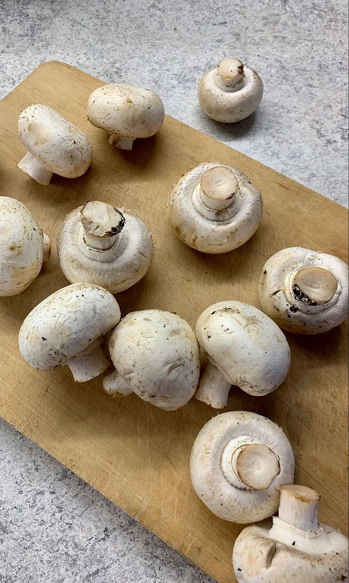 Mushrooms. 6