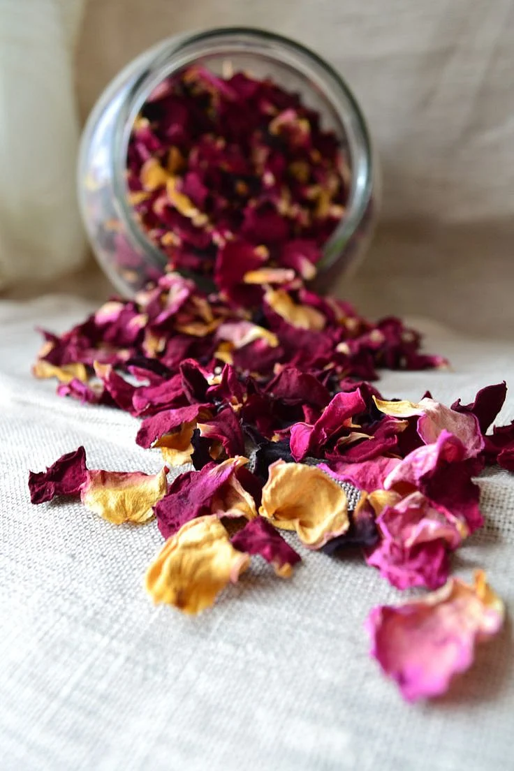 Rose Petal. 7