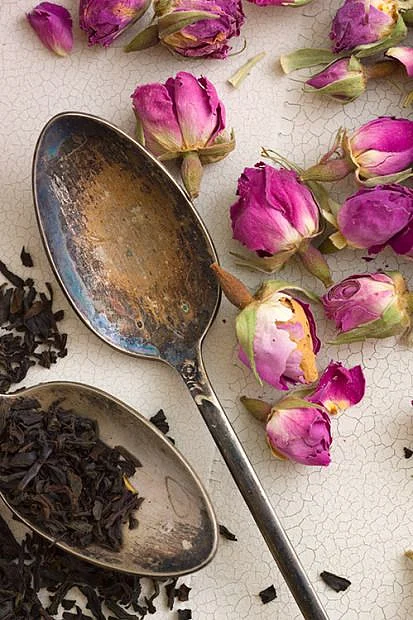 Rose Petal. 5