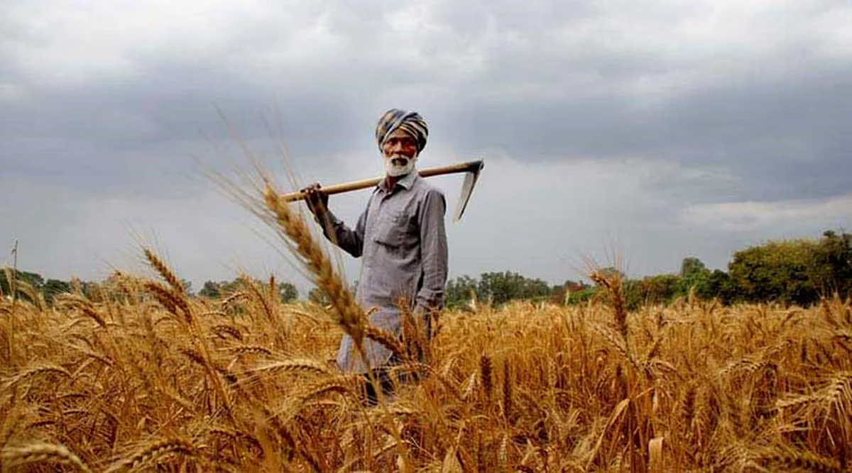 Farmers.