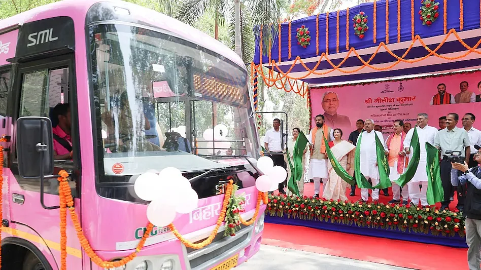 Pink Bus 