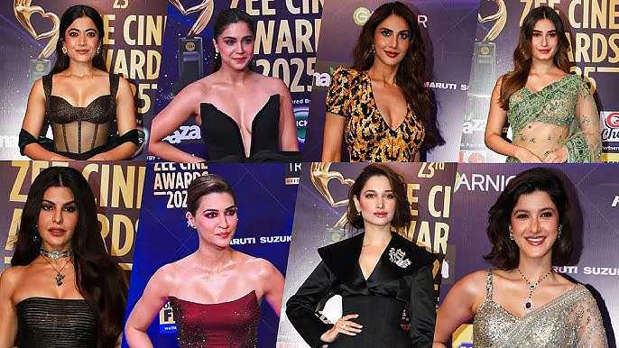 Zee Cine Awards 2025