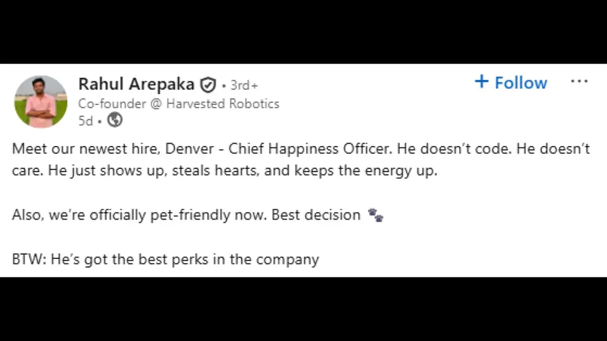 Dog Hiring Post  