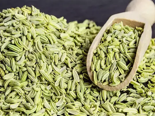 fennel benefit