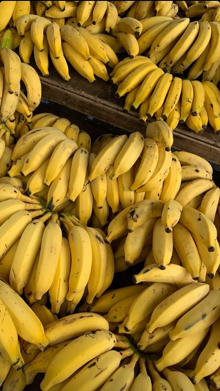 Banana  