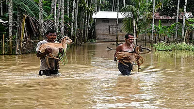 Flood