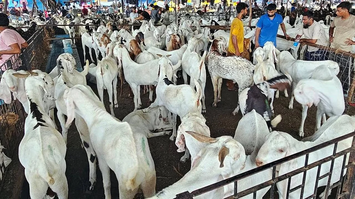 Bakrid 2025: