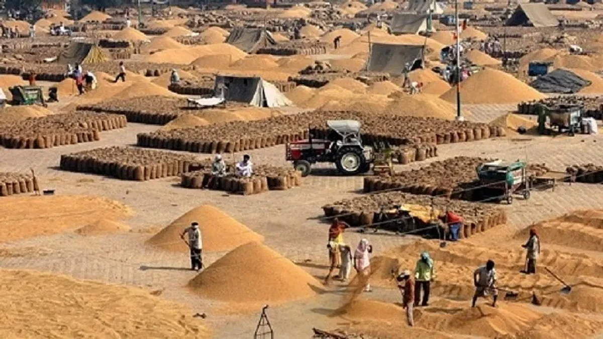 गेहूं खरीद 