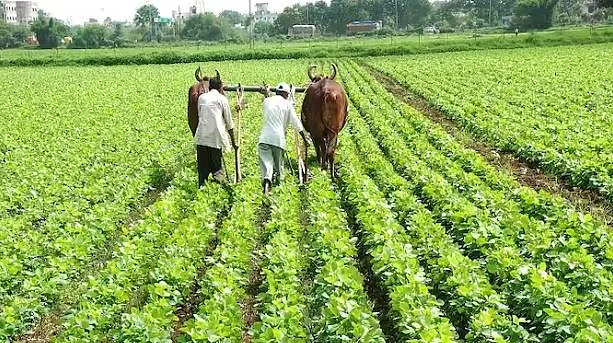 किसानों के हित में बड़े काम