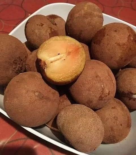 Chikoo