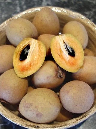Chikoo 