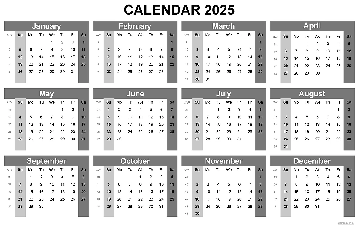 Year 2025: