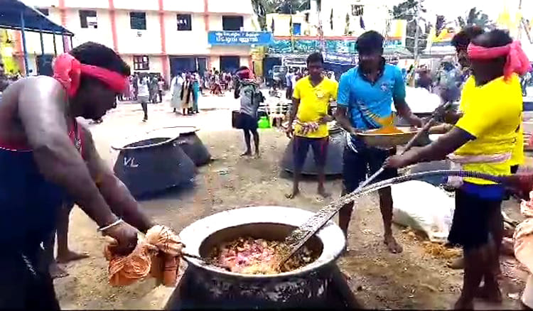 cook