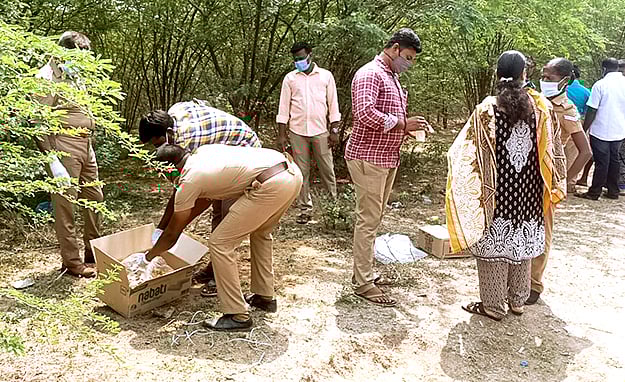 பிறந்து சில தினங்களே ஆன பச்சிளம் குழந்தை புதைக்கப்பட்ட நிலையில் சடலமாக  மீட்பு