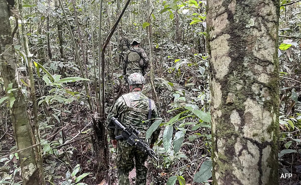 children found alive 40 days after Amazon jungle plane crash அமேசான்