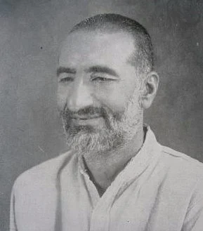 خان عبدالغفار خان