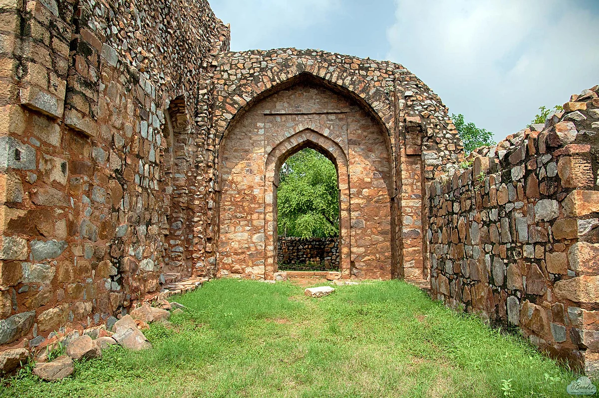 تصویر سوشل میڈیا