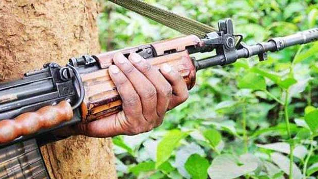 نائیجیریا: بندوق برداروں نے اگربڈو فرقہ کے 14 لوگوں کا کیا قتل