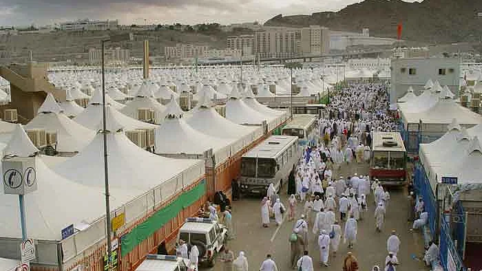 حج 2019: لبیک اللھم لیبک کی صداؤں کے ساتھ فرزندان توحید عرفات کے لئے روانہ