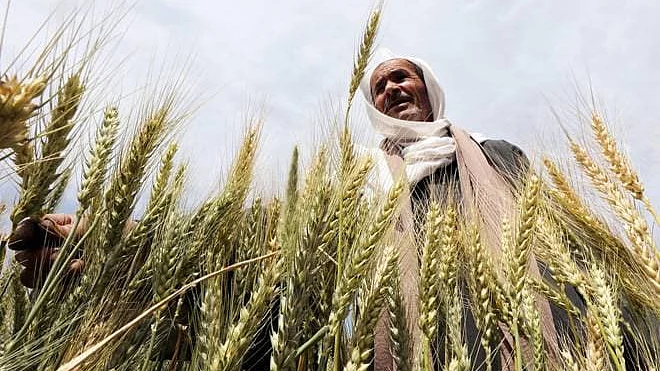 تصویر سوشل میڈیا