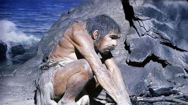 ہمارے جد امجد ہوموسیپینس ہندوستان کب آئے!... وصی حیدر
