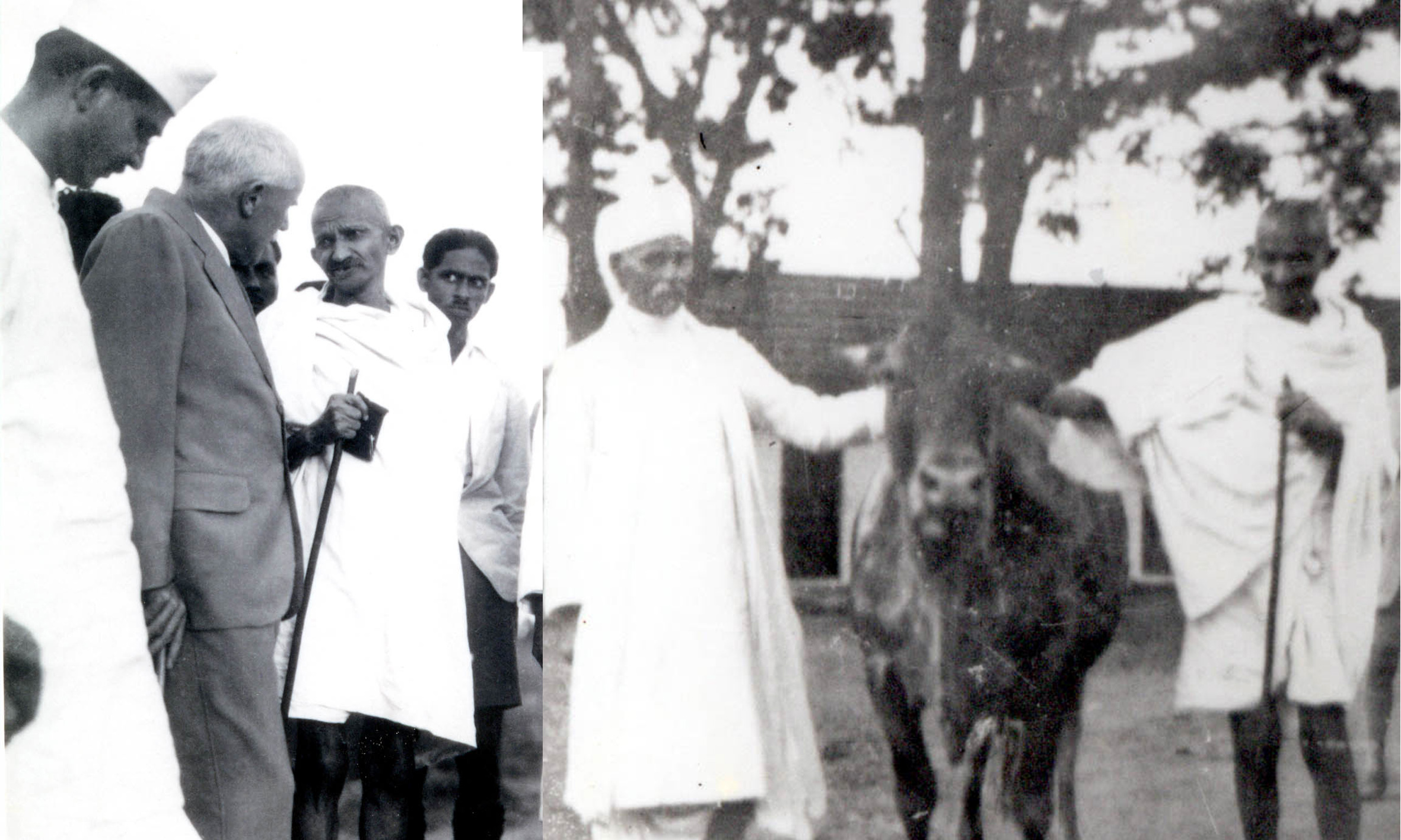 جب مہاتما گاندھی نے اپنے ’آٹوگراف‘ کی قیمت 5 روپے طے کی...