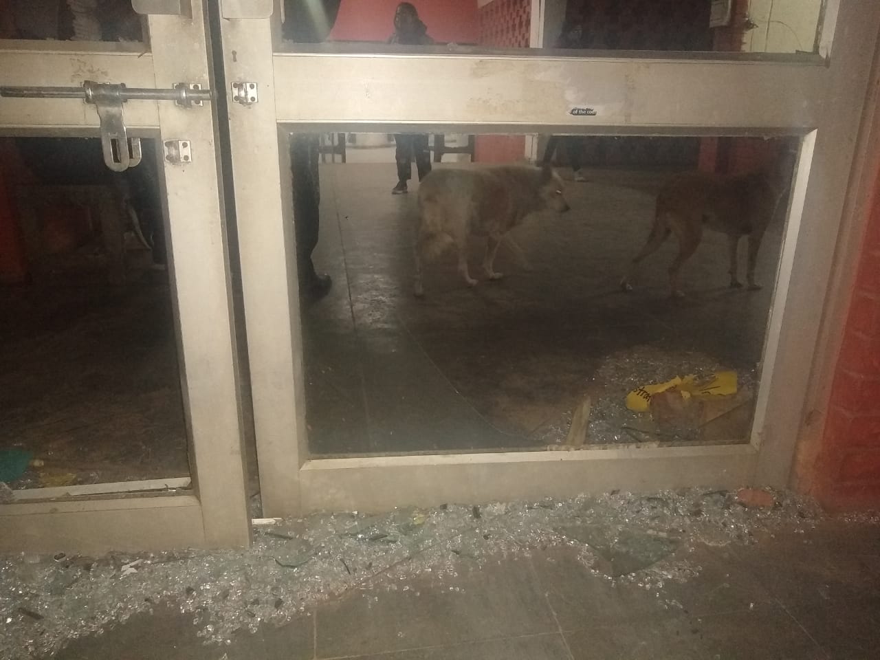 جے این یو تشدد: طالب علم غنڈوں کے خوف سے بالٹی سر پر ڈھک کر بیٹھ گیا، سنائی مکمل روداد