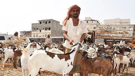 عید قرباں: اس سال بھی دیونار مذبح بند، مسلمانوں میں اضطراب اور بے چینی
