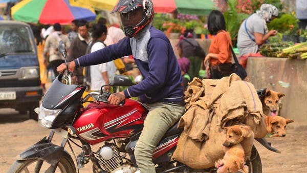 ریاست ناگا لینڈ میں کتے کے گوشت کی خرید و فروخت پر پابندی!