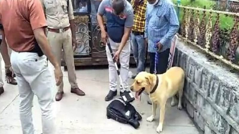 وکاس دوبے کی ہلاکت کے بعد سب کی نظریں 'کالے بیگ' پر، کھل سکتے ہیں کئی راز!