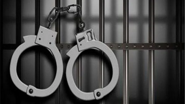 مصر میں صحافت جرم بن گئی ہے ،حکومت کو اپنی تنقید برداشت نہیں