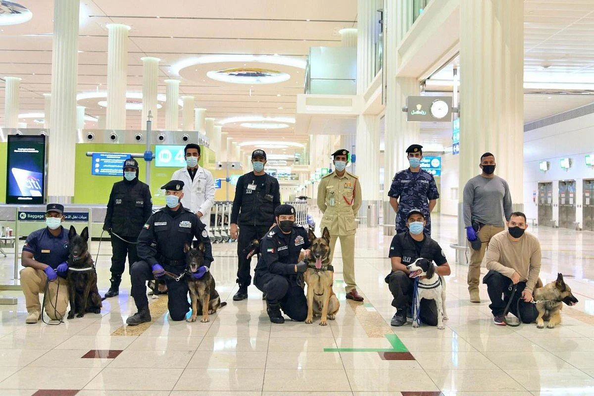کورونا ٹیسٹ کی ایک منٹ سے بھی کم وقت میں جانچ کرنے والے یو اے ای کے ’جاسوس کتے‘