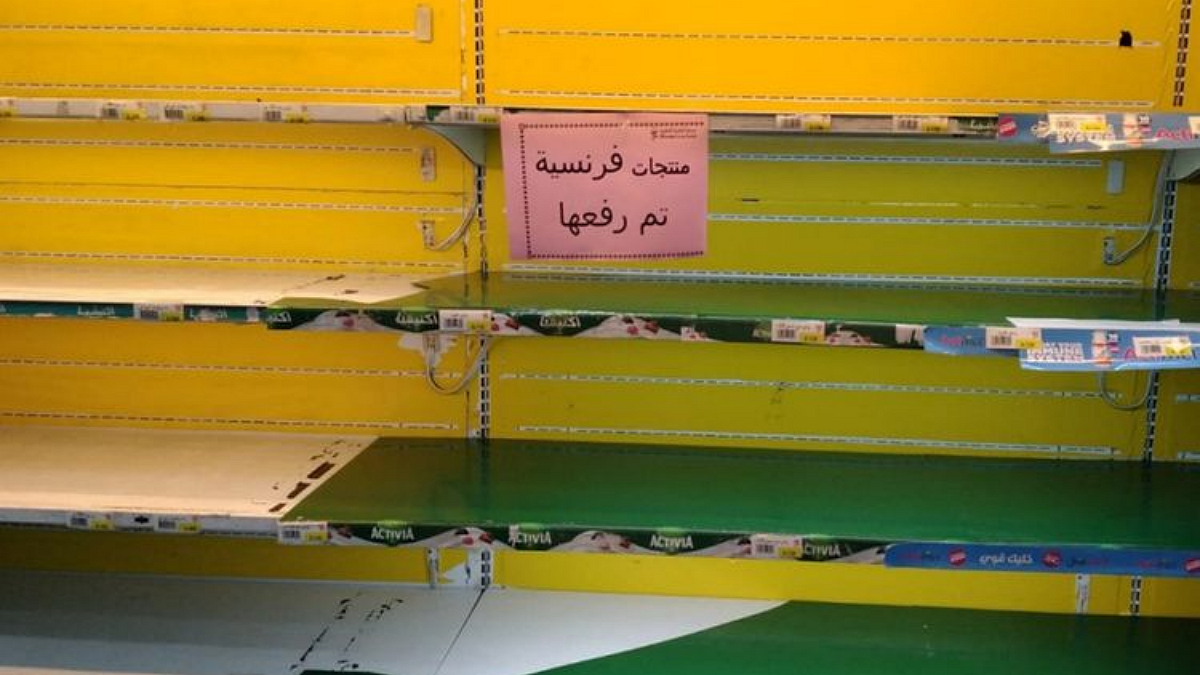 تصویر سوشل میڈیا بشکریہ کویت24ہارس
