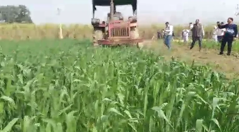 تصویر آئی اے این ایس