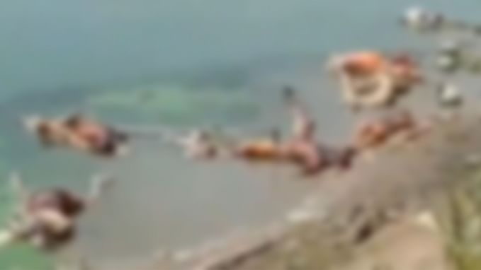 بہار: بکسر کے گنگا گھاٹ پر بہتی ملیں 40 لاشیں، انتظامیہ نے کیا یو پی سے آنے کا دعویٰ