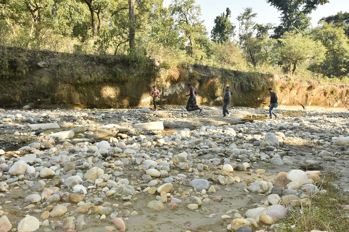 بہت بڑا مسئلہ ہے شیوالک کی پہاڑیوں میں مقیم گوجروں کی ٹیکہ کاری