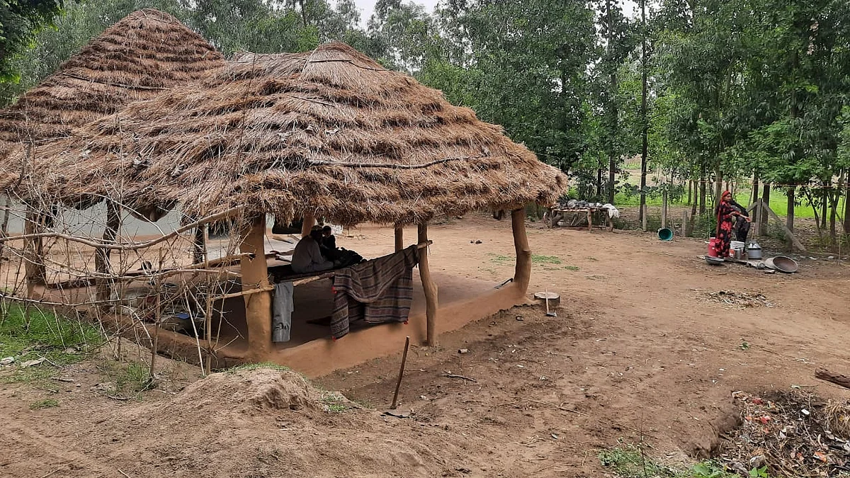 تصویر بذریعہ آس محمد کیف
