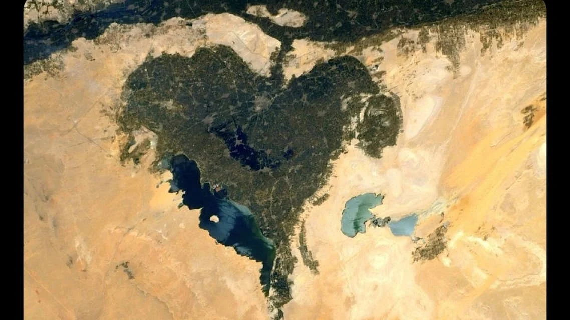 العربیہ ڈاٹ نیٹ